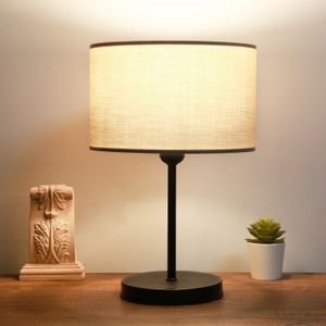 AYD-3166 Mink Table Lamp