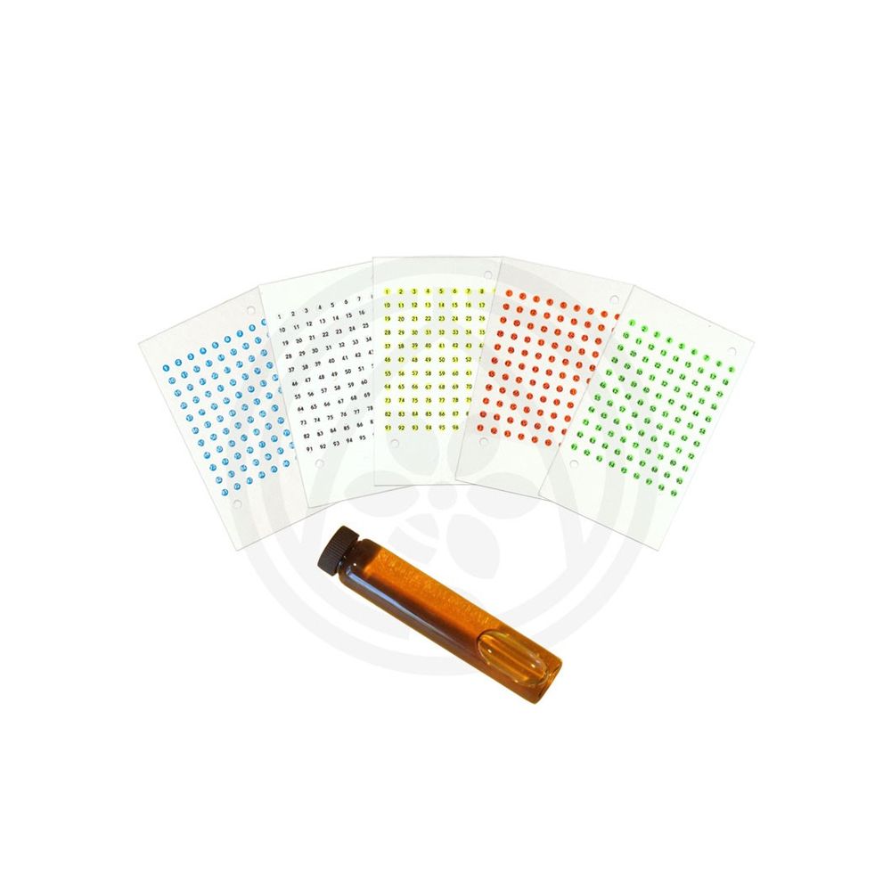Kartica sa brojevima za maticu set slika 2