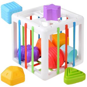 Edukativna baby kocka sorter