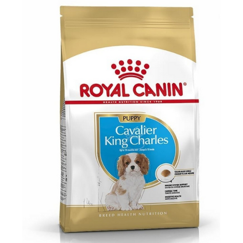 Royal Canin CAVALIER KING CHARLES JUNIOR – za  king čarls kavaljer pse do 10 meseci starosti 1.5kg slika 1