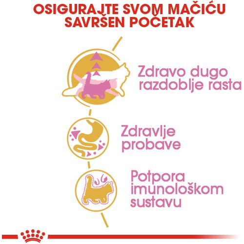 ROYAL CANIN FBN Maine Coon KITTEN, potpuna i uravnotežena hrana za mačke, specijalno za mačiće pasmine Maine Coon do 15 mjeseci starosti, 10 kg slika 7