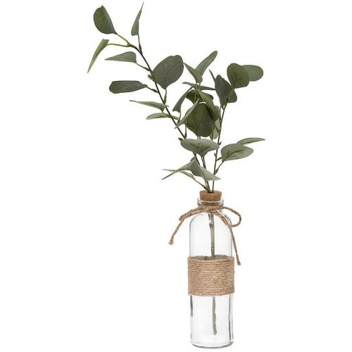Atmosphera dekorativna biljka eucalyptus sa vazom slika 1