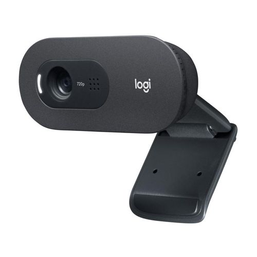 LOGITECH C505E Long Range HD web kamera OEM slika 1