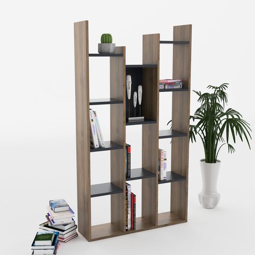 Lagomood Vito - Anthracite, Walnut Anthracite
Walnut Bookshelf slika 2