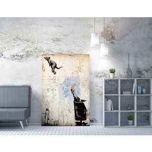 Dekorativna Slika na Platnu WY117 (50 x 70) u Šarenom Okviru