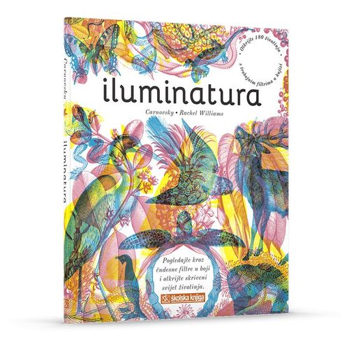 Iluminatura slika 2