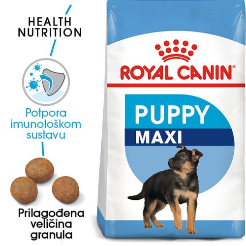 ROYAL CANIN SHN Maxi PUPPY, potpuna hrana za pse, specijalno za štence velikih pasmina (konačne težine od 26 do 44 kg)  do 15 mjeseci starosti, 4 kg slika 5