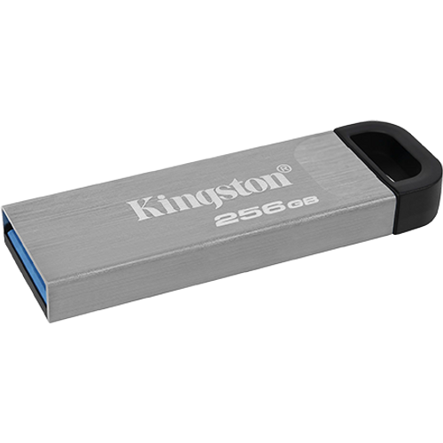 USB memorija KINGSTON DTKN 256GB Kyson 3.2 srebrna slika 2