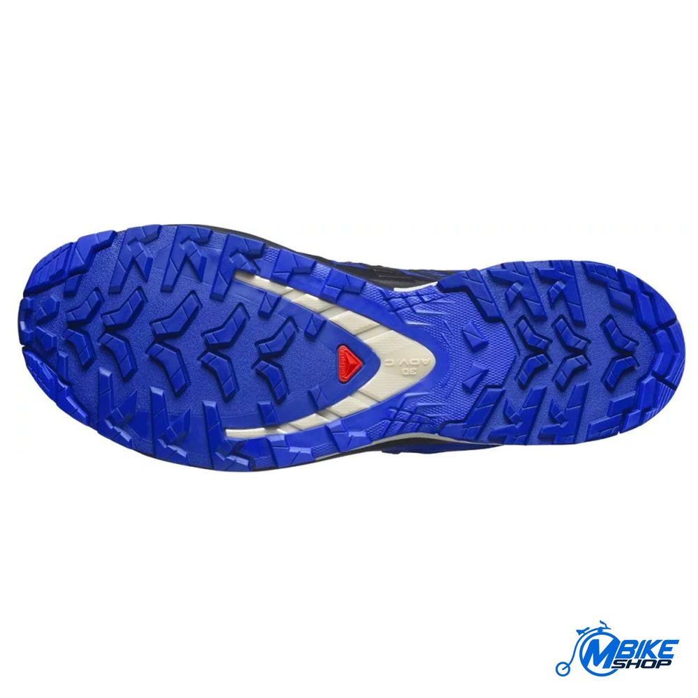 Salomon Muške patike XA Pro 3D V9 GTX, Blue Print/Surf The Web/Lapis Blue slika 5