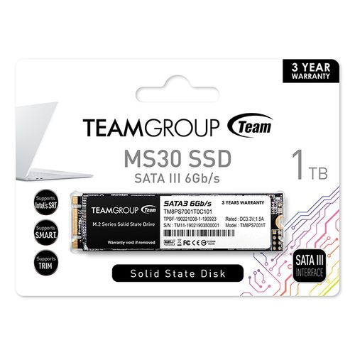 Teamgroup 1TB SSD MS30 M.2 2280 SATA3 slika 2