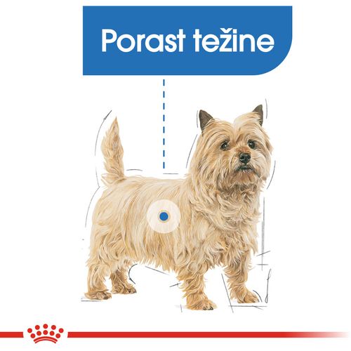 Royal Canin CCN Light Weight Care Loaf, potpuna hrana za odrasle pse, 12x85 g slika 5