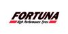 Fortuna auto gume - Kvalitetne i pristupačne za sve sezone