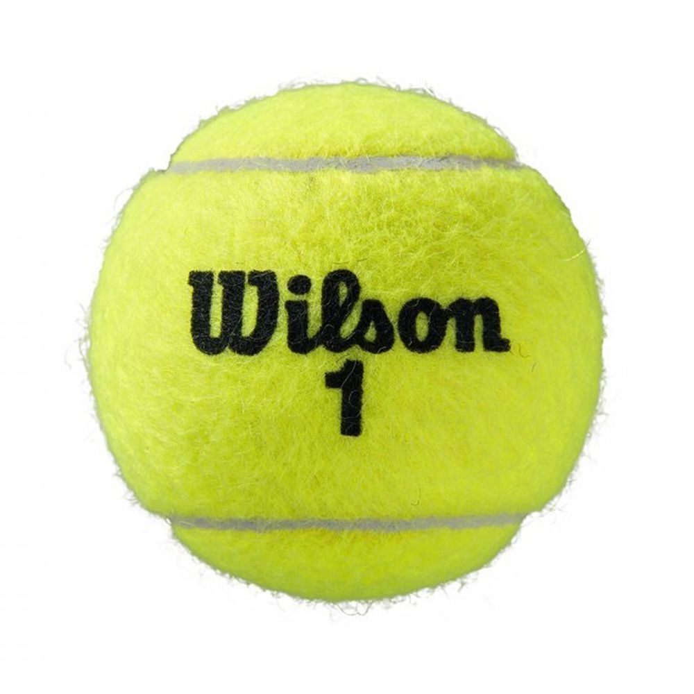 Wilson Loptice za tenis Roland Garros All Ct, 3kom slika 2