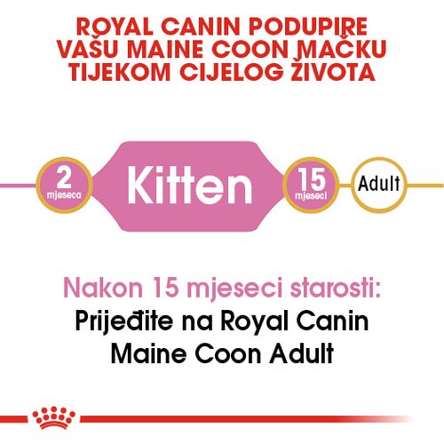 ROYAL CANIN FBN Maine Coon KITTEN, potpuna i uravnotežena hrana za mačke, specijalno za mačiće pasmine Maine Coon do 15 mjeseci starosti, 400 g slika 9