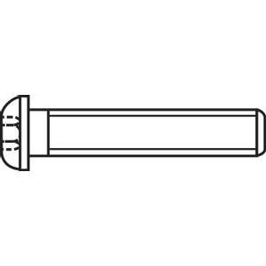 TOOLCRAFT 839788 vijak s lećastom glavom M6 30 mm unutarnji šesterostrani čelik pocinčani 50 St.