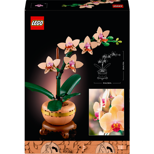 LEGO BOTANICALS 10343 Mini orhideja slika 11