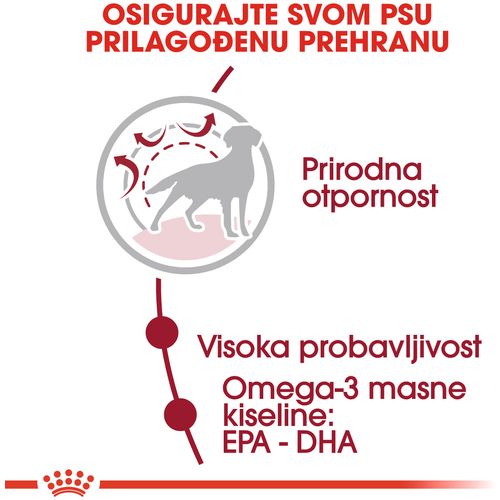 ROYAL CANIN SHN Medium Adult, potpuna hrana za odrasle pse srednje velikih pasmina starosti od 1-7 godina, 4 kg slika 6