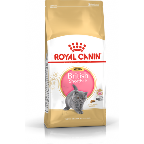 ROYAL CANIN FBN British Shorthair KITTEN, potpuna i uravnotežena hrana za mačiće, specijalno za mačiće pasmine Britanska krtkodlaka mačka u dobi do 12 mjeseci, 2 kg slika 1