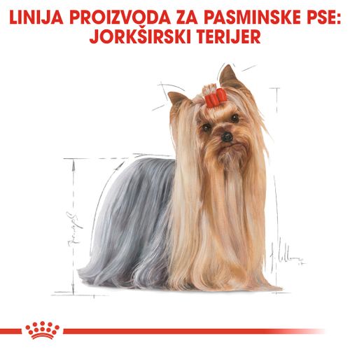 ROYAL CANIN BHN Yorkshire Terrier Adult, potpuna hrana za odrasle yorkie starije od 10 mjeseci, 12x85 g slika 4