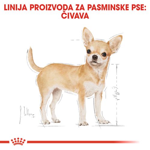 ROYAL CANIN BHN Chihuahua Adult, potpuna hrana za odrasle chihuahue starije od 9 mjeseci, 12x85 g slika 7