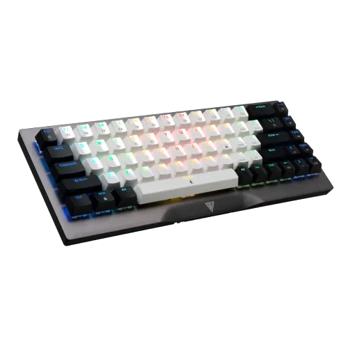 Gamdias Hermes M4 Hybrid Mehanička Tastatura RGB slika 1