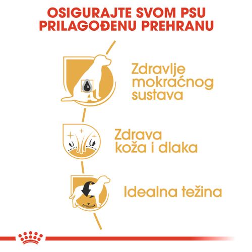 ROYAL CANIN BHN Bichon Frise Adult, potpuna hrana za odrasle pse pasmine Bishon Frise (starije od 10 mjeseci), 1,5 kg  slika 6