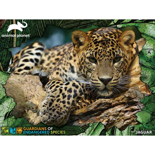 Puzzle 3D - Jaguar 100 kom 31x23cm animal planet ges slika 2