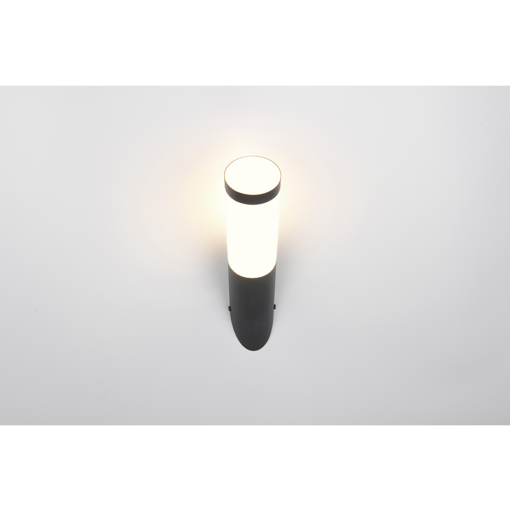 Trio Lightning zidna lampa TRIOTO ZIDNA, 1 x E27 slika 3