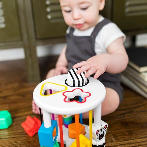 Kids II Baby Einstein Igracka Sorter Zen & Cal’S Plyground 12493 slika 6