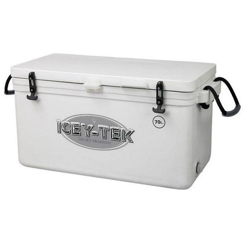 Icey-Tek Ledenica 70L slika 1