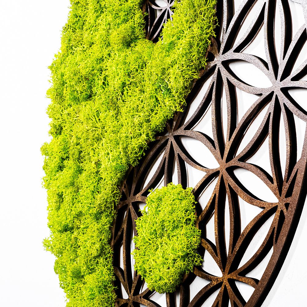 Decorative wall accessory Yin Yang, colours: green, brown slika 3
