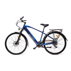 MS ENERGY eBike c11_L size