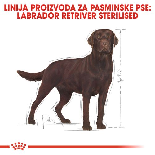 ROYAL CANIN BHN Labrador Adult Sterilised, potpuna hrana za odrasle sterilizirane labrador retrievere starije od 15 mjeseci, 12 kg slika 4