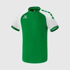 Dres Erima Zenari 3.0 Jersey Emerald/White