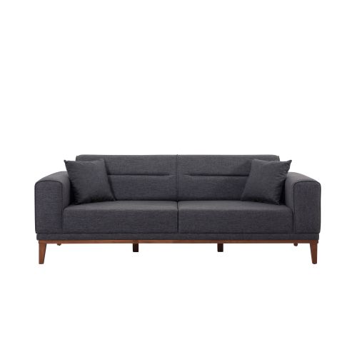 Atelier Del Sofa Liones Tepsili-Anthracite Trosed na razvlačenje slika 4