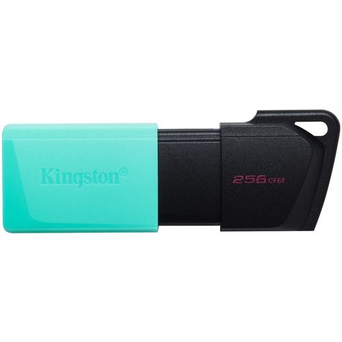 KINGSTON 256GB DataTraveler Exodia M USB 3.2 Gen1 DTXM/256GB slika 1