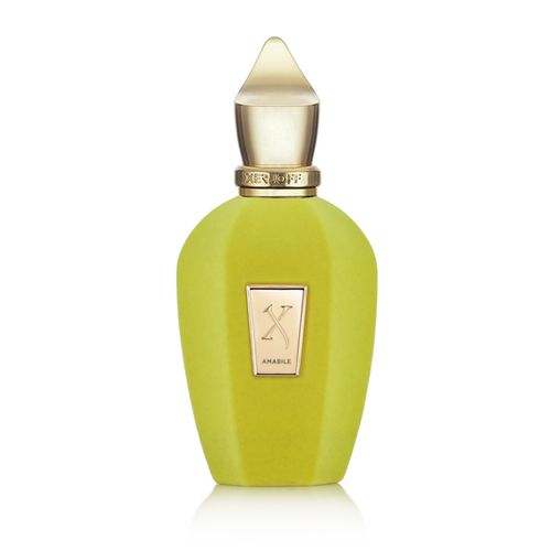 Xerjoff " V " Amabile Eau De Parfum 100 ml (unisex) slika 3