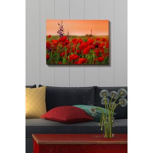 Dekorativna Slika na Platnu (50 x 70 cm) - Šareni Motivi
