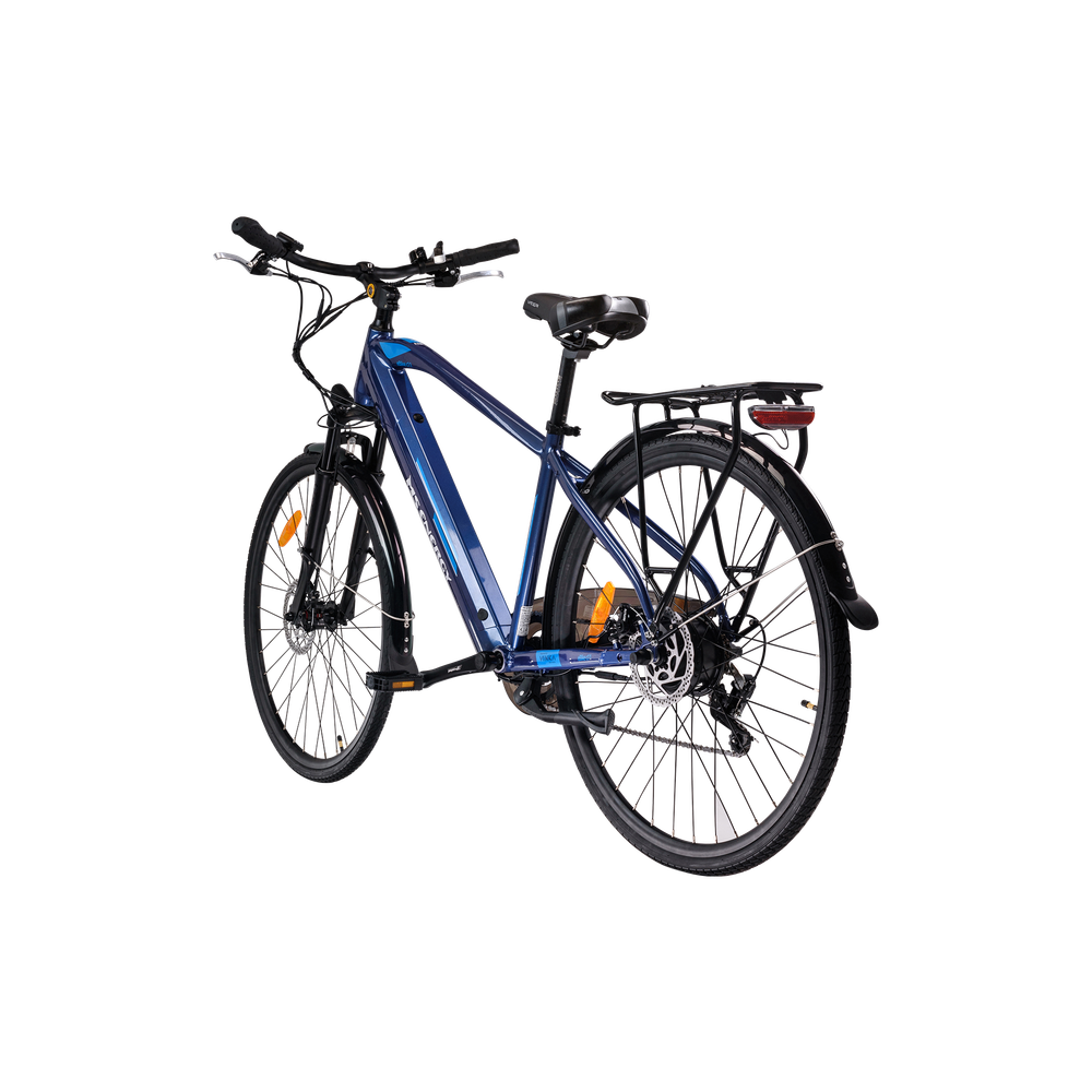 MS ENERGY eBike c11_L size slika 2
