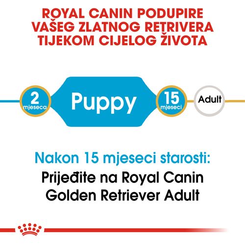 ROYAL CANIN BHN Golden Retriever Junior, potpuna hrana specijalno prilagođena potrebama štenaca golden retrivera, 12 kg slika 8