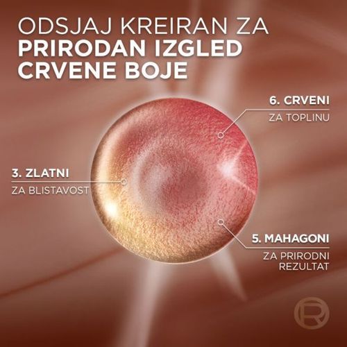 L'Oreal Paris Excellence Universal Nudes boja za kosu 5UR slika 5