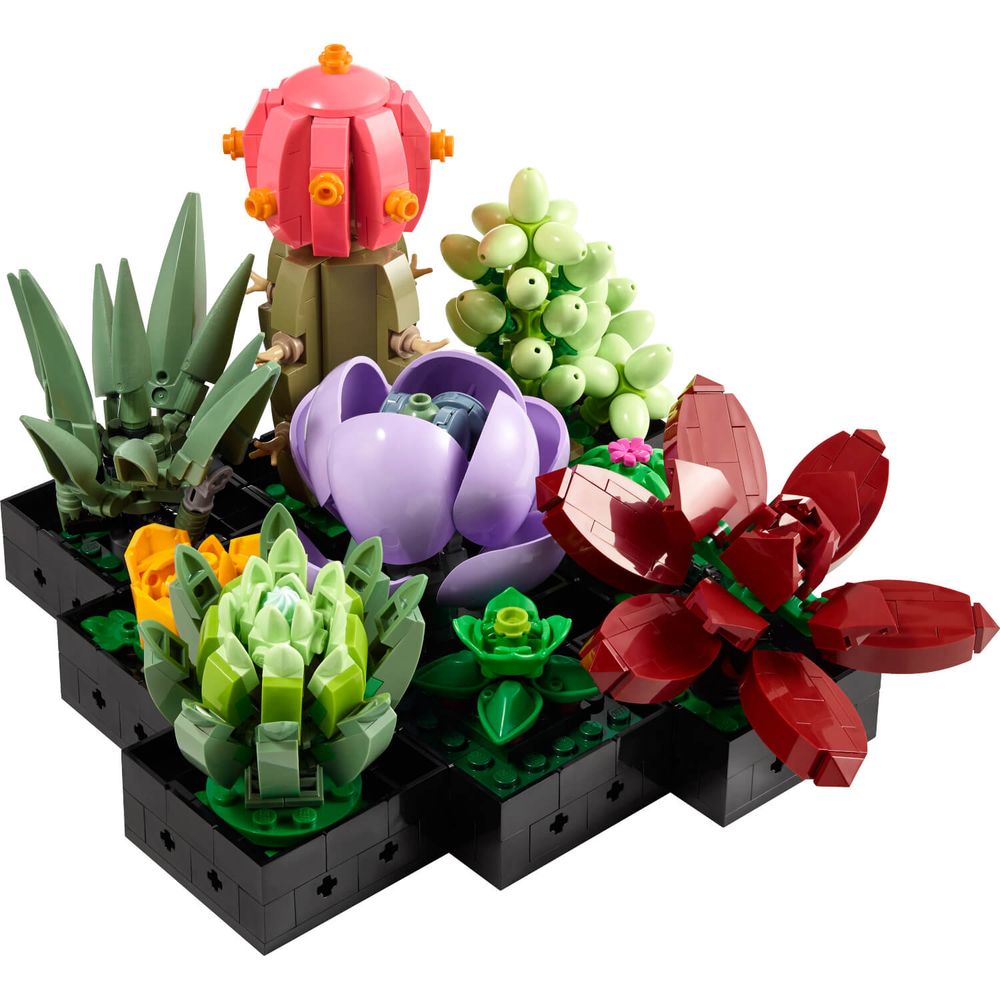 LEGO 10309 Sukulenti slika 2