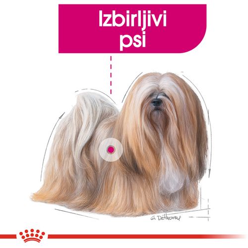 ROYAL CANIN CCN Mini Exigent, potpuna hrana za pse - Za odrasle i starije pse malih pasmina (od 1 do 10 kg) - Stariji od 10 mjeseci - Mali izbirljivi psi, 3 kg slika 7