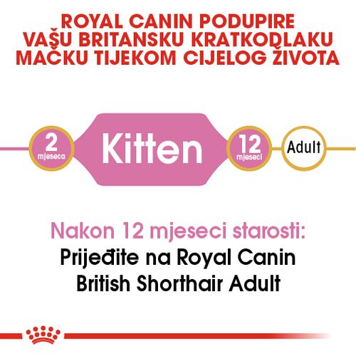 ROYAL CANIN FBN British Shorthair KITTEN, potpuna i uravnotežena hrana za mačiće, specijalno za mačiće pasmine Britanska krtkodlaka mačka u dobi do 12 mjeseci, 2 kg slika 9