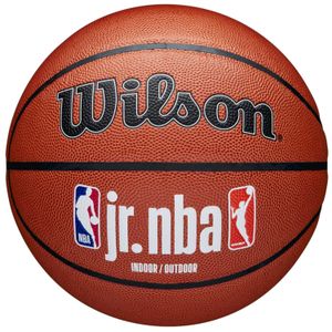 Wilson Jr NBA fam logo in/out unisex košarkaška lopta wz2009801xb