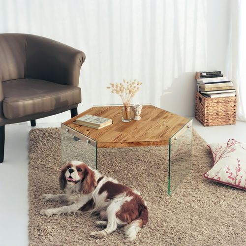 Hexagon S304 Oak Coffee Table slika 2