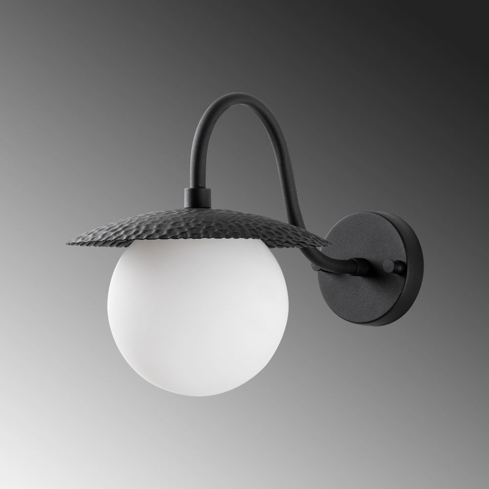 Zidna Lampa Anemon - 15002, boje: Crna slika 8