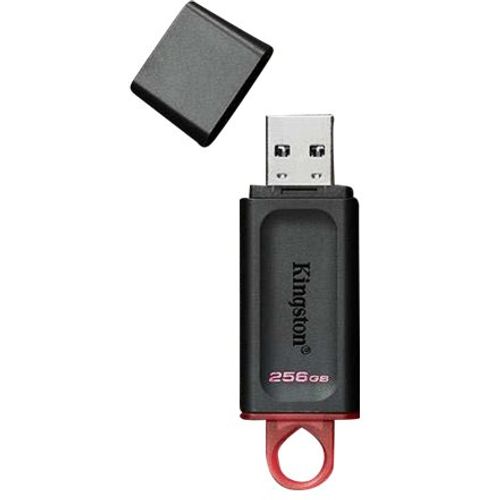 KINGSTON 256GB USB3.2 Gen1 DT Bk+Pink DTX/256GB slika 2