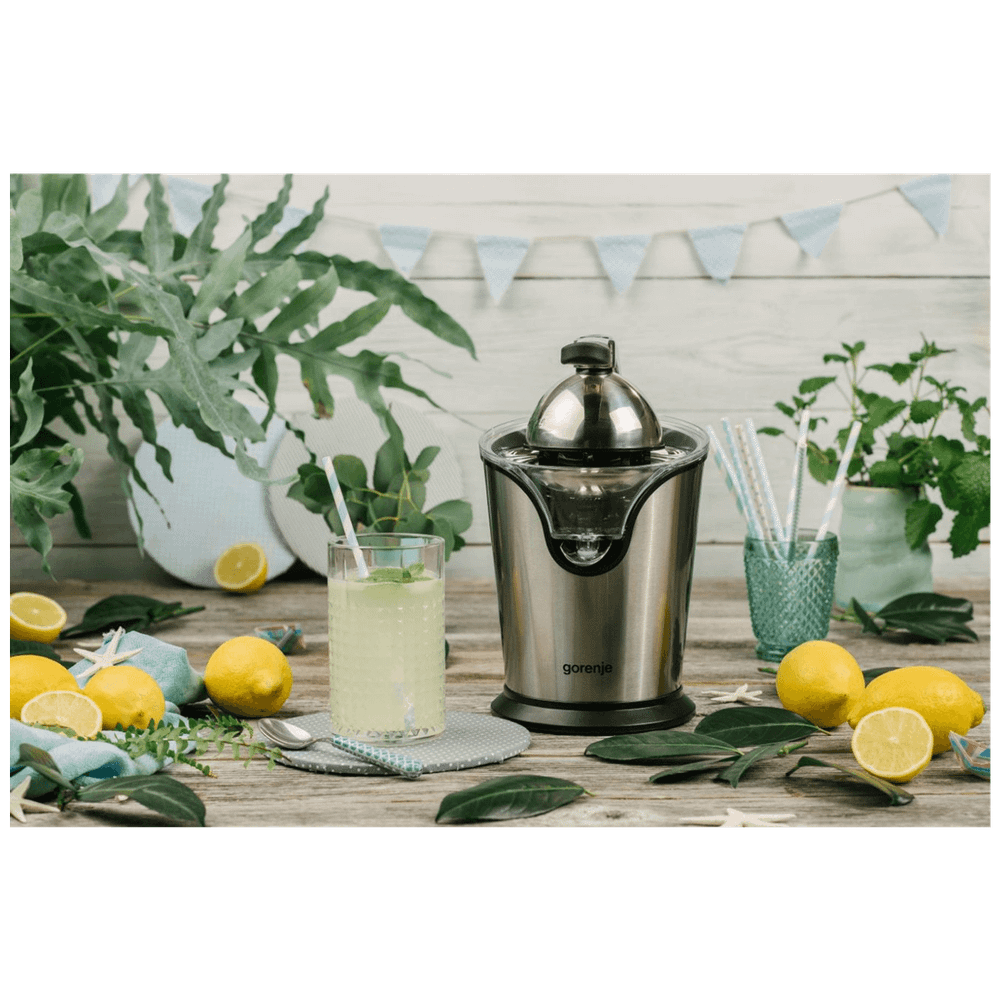 Gorenje Citruseta, 100 W - CJ100HE slika 5