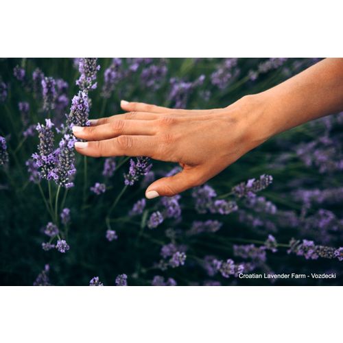 Lavanda paket - Natur 4 slika 2